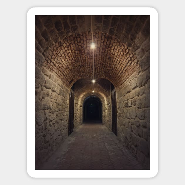 underground cellar tunnel Sticker by psychoshadow